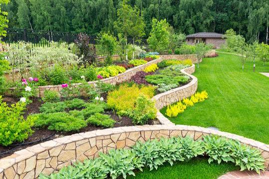 Landscape Design